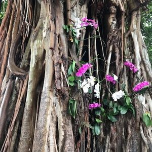 Meet your Posher, Silvina